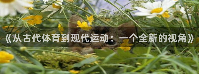 三亿体育网页版：《从古代体育到现代运动：一个全新的视角》