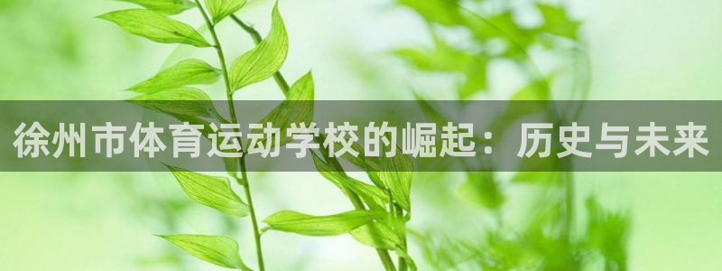 三亿体育网：徐州市体育运动学校的崛起：历史与未来