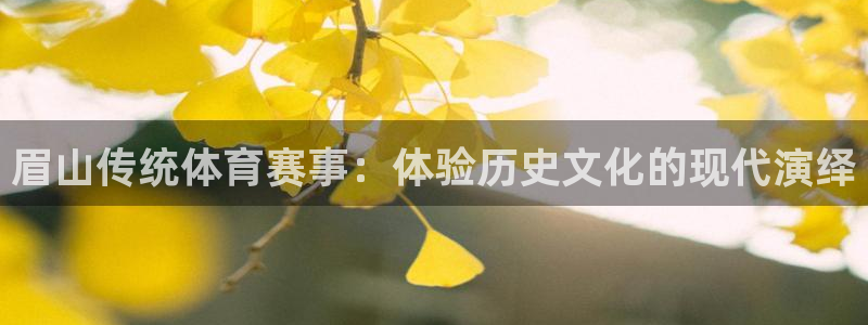 三亿体育：眉山传统体育赛事：体验历史文化的现代演绎