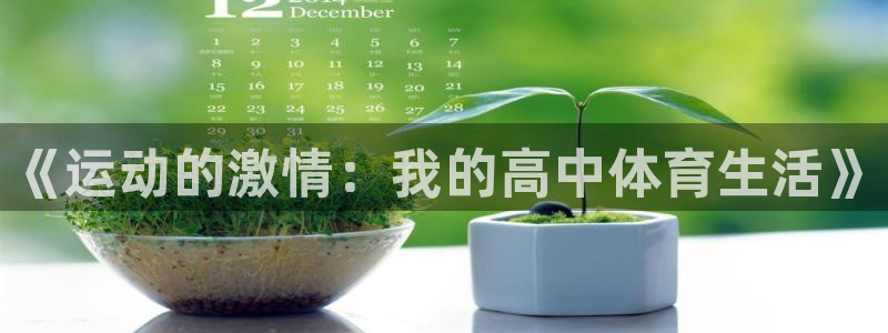 三亿体育网：《运动的激情：我的高中体育生活》